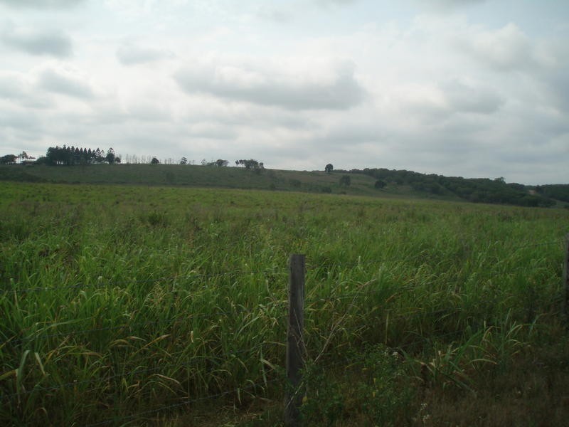 Lot 13 Longs Road, Bucca QLD 4670