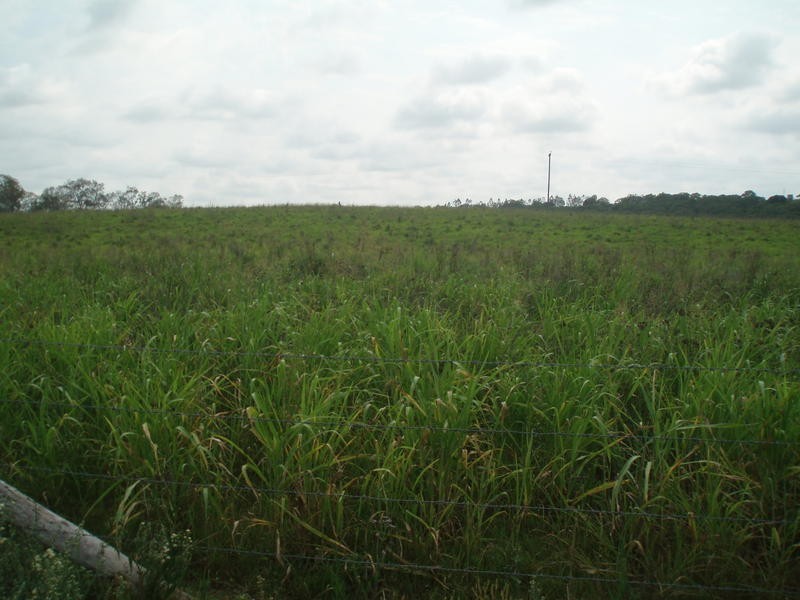 Lot 13 Longs Road, Bucca QLD 4670