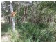 Maroondan QLD 4671