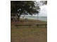 129 Duporth Avenue, Maroochydore QLD 4558