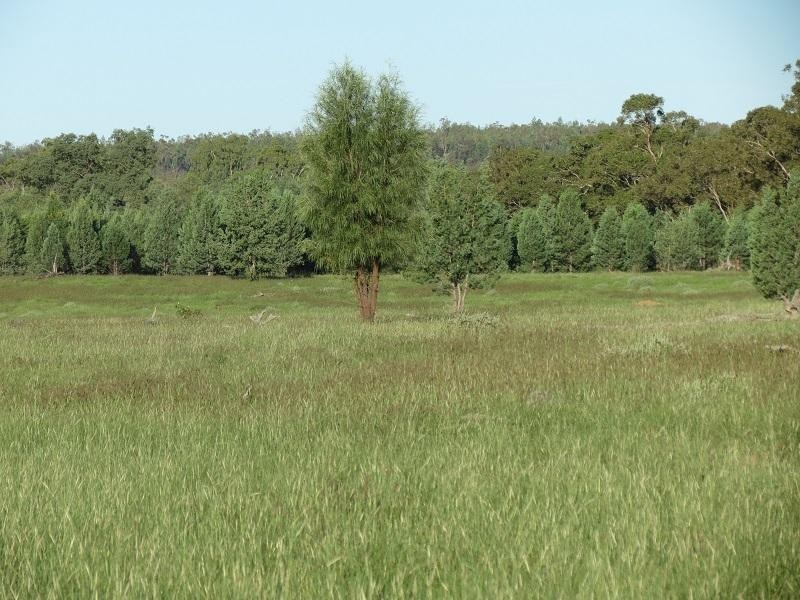 L261 Forestvale Road, Mitchell QLD 4465