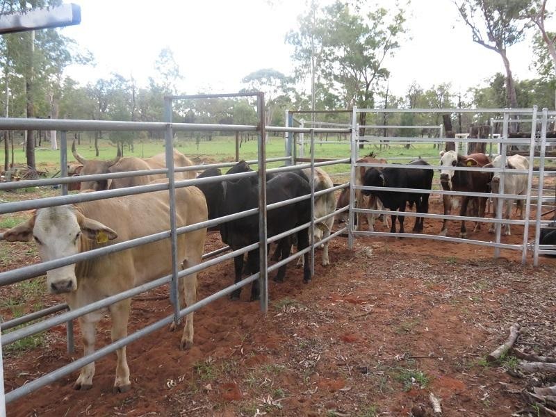 L261 Forestvale Road, Mitchell QLD 4465