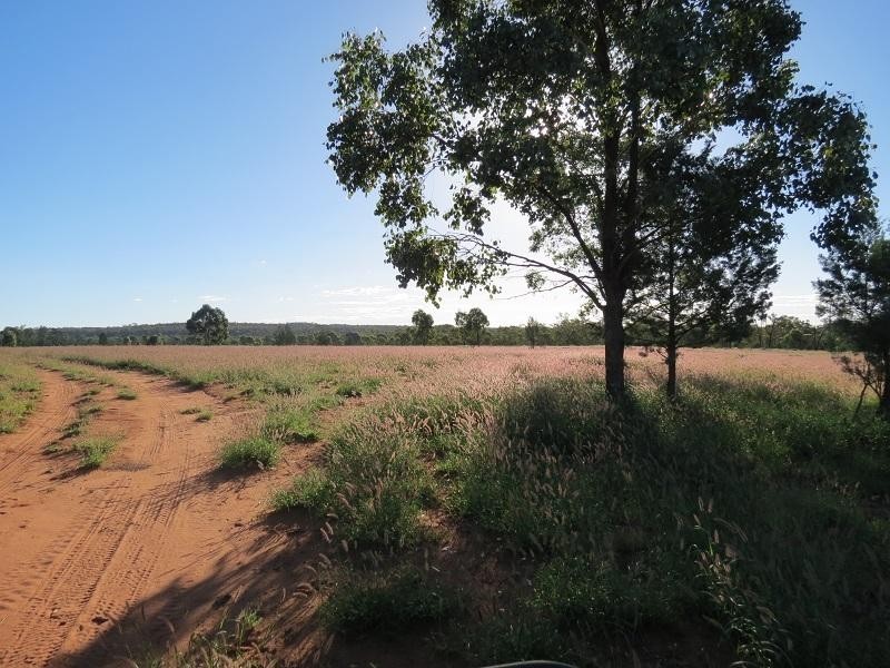 L261 Forestvale Road, Mitchell QLD 4465