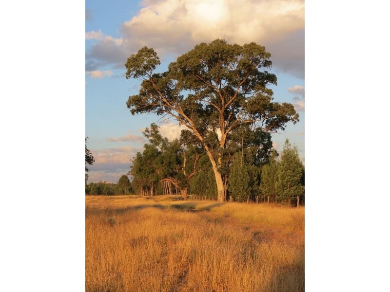 L261 Forestvale Road, Mitchell QLD 4465