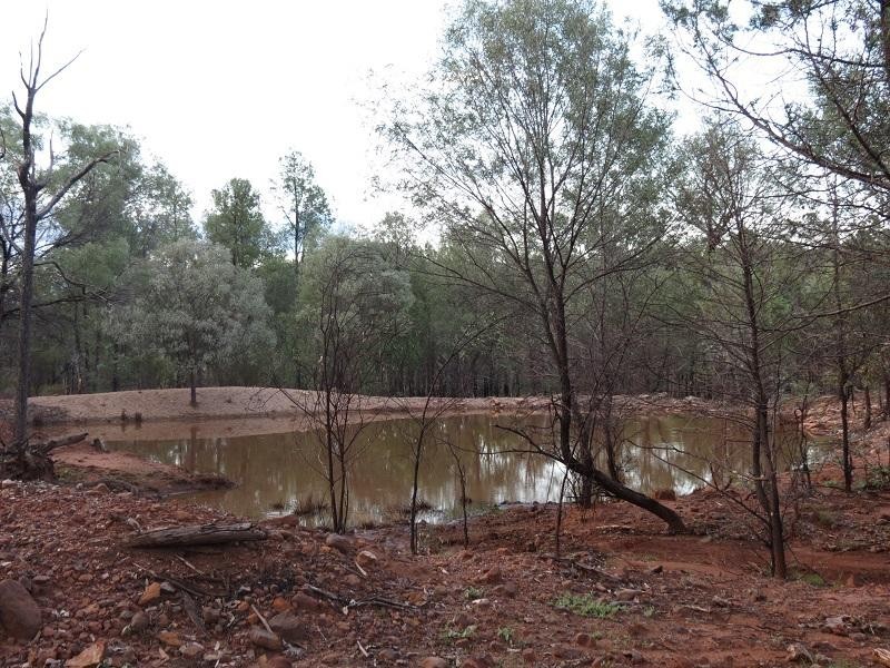 L261 Forestvale Road, Mitchell QLD 4465