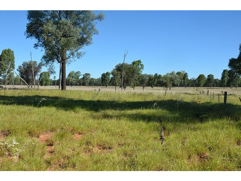 L59 Homebush Lane, Mitchell QLD 4465