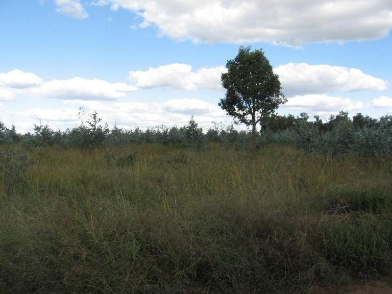 L13&L15 Dunedin Access Road, Mitchell QLD 4465