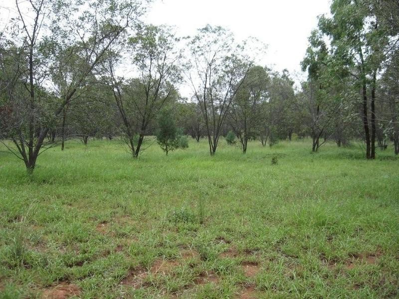 L13&L15 Dunedin Access Road, Mitchell QLD 4465