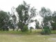L68 Alice Street, Mitchell QLD 4465