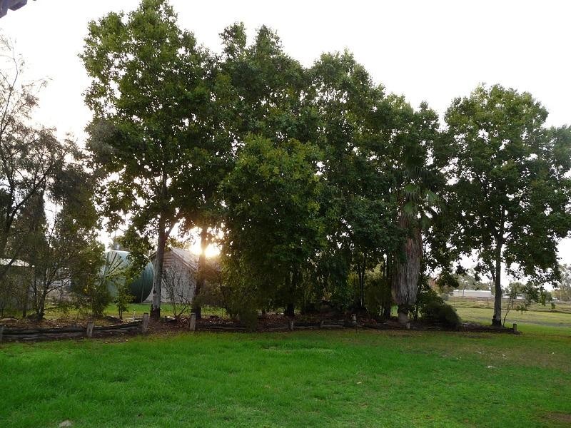 93-95 Cambridge Street, Mitchell QLD 4465