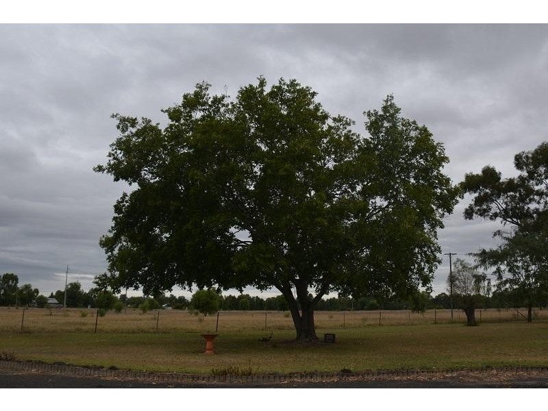 97 Eton Street, Mitchell QLD 4465