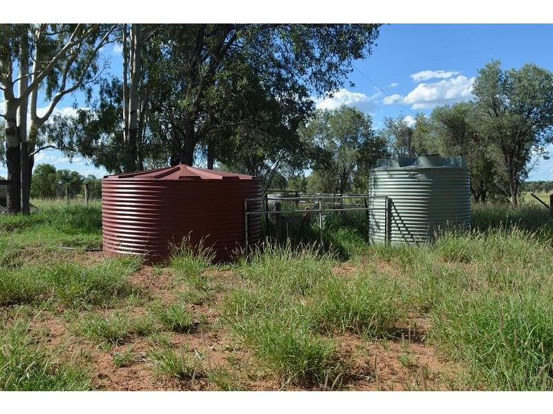 L58 Homebush Lane, Mitchell QLD 4465