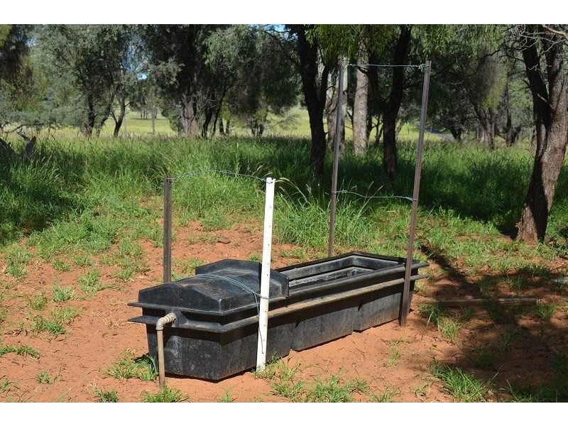 L58 Homebush Lane, Mitchell QLD 4465