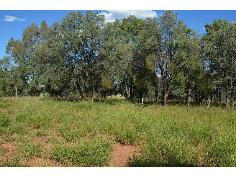 L58 Homebush Lane, Mitchell QLD 4465