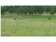 L43 Fallon Lane, Mitchell QLD 4465