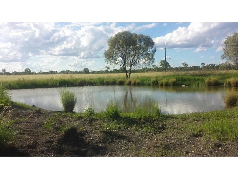 L43 Fallon Lane, Mitchell QLD 4465