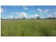 L43 Fallon Lane, Mitchell QLD 4465