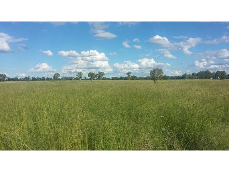 L43 Fallon Lane, Mitchell QLD 4465