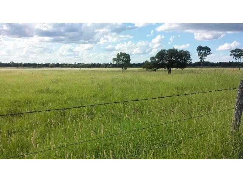 L43 Fallon Lane, Mitchell QLD 4465