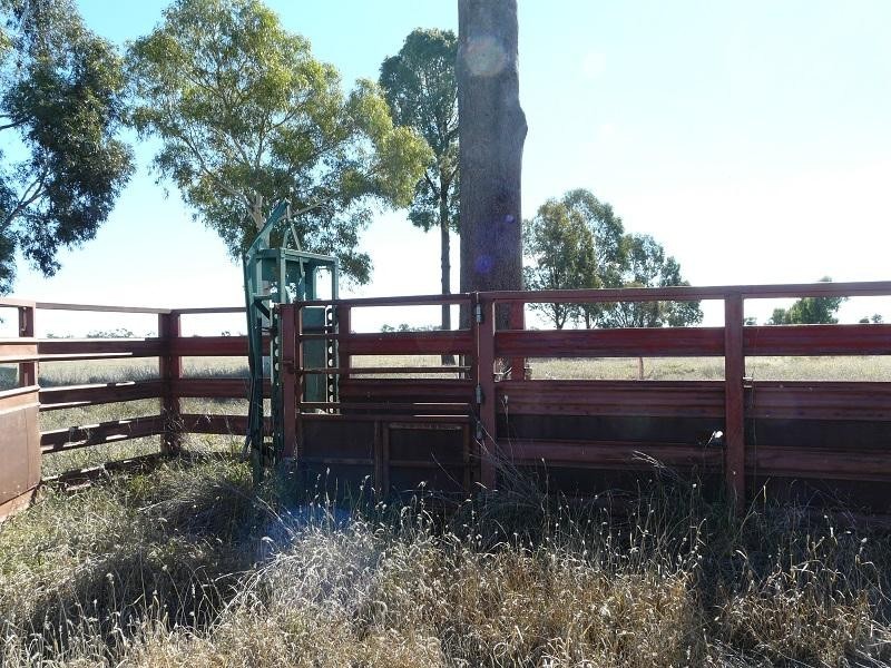 127 Homebush Lane, Mitchell QLD 4465