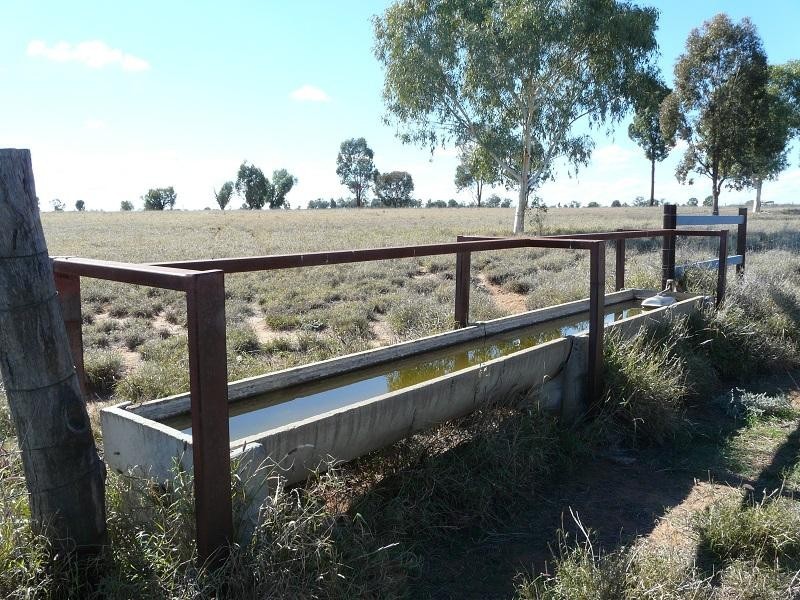 127 Homebush Lane, Mitchell QLD 4465