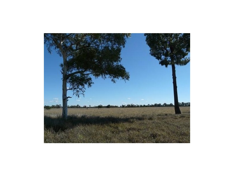 127 Homebush Lane, Mitchell QLD 4465