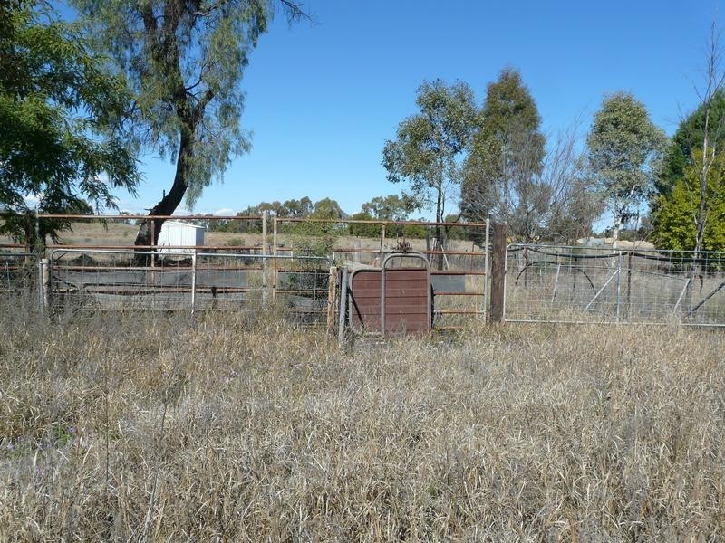 L109 Pinelands Lane, Mitchell QLD 4465