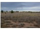 L109 Pinelands Lane, Mitchell QLD 4465