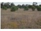 L109 Pinelands Lane, Mitchell QLD 4465