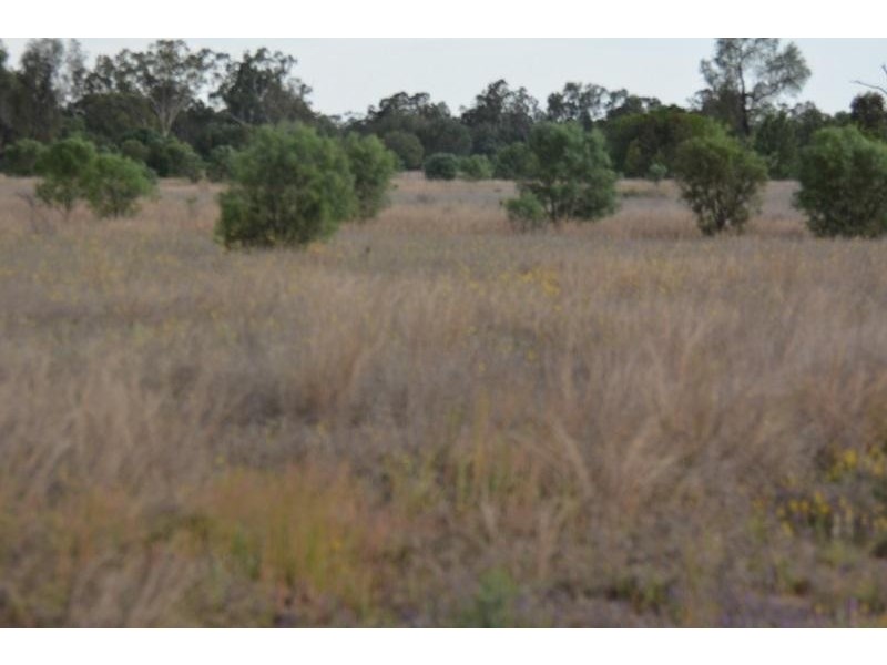 L109 Pinelands Lane, Mitchell QLD 4465