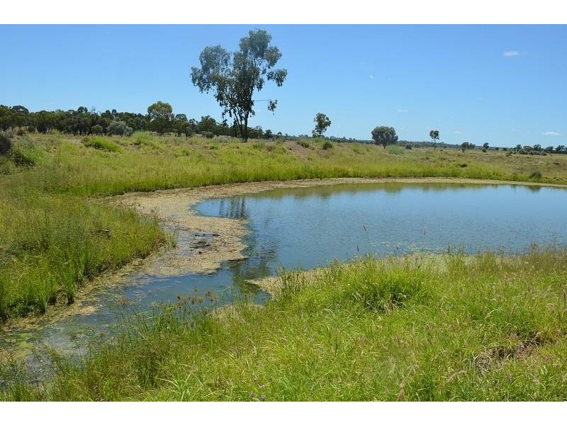 Mitchell QLD 4465