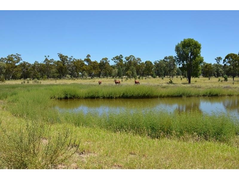 Mitchell QLD 4465