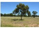 Mitchell QLD 4465