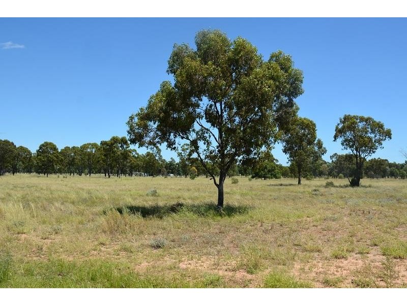 Mitchell QLD 4465