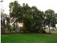 93-95 Cambridge Street, Mitchell QLD 4465