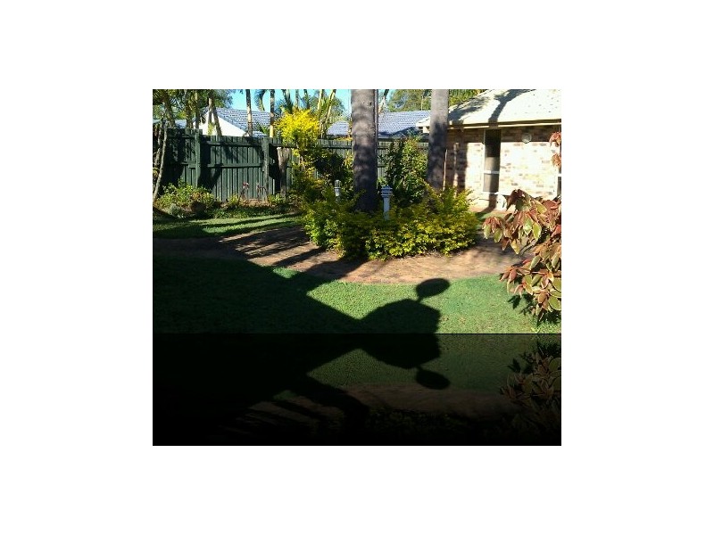 17 Quigan Terrace, Highland Park QLD 4211