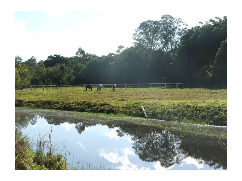 Mooloolah Valley QLD 4553