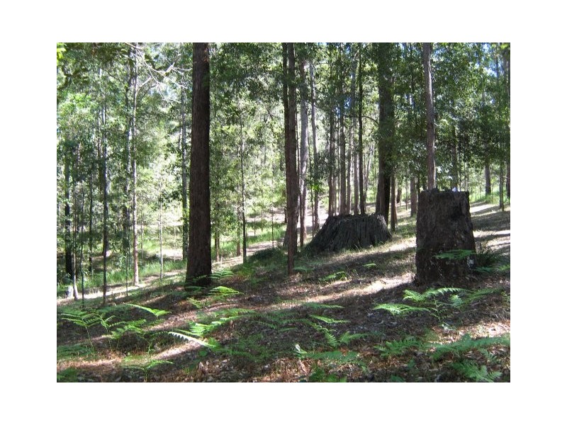 Beerwah QLD 4519