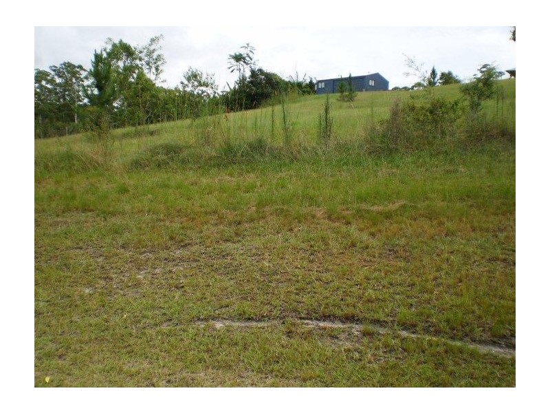 Mooloolah Valley QLD 4553