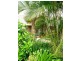 Palmview QLD 4553