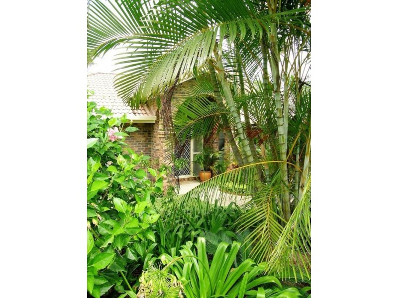 Palmview QLD 4553
