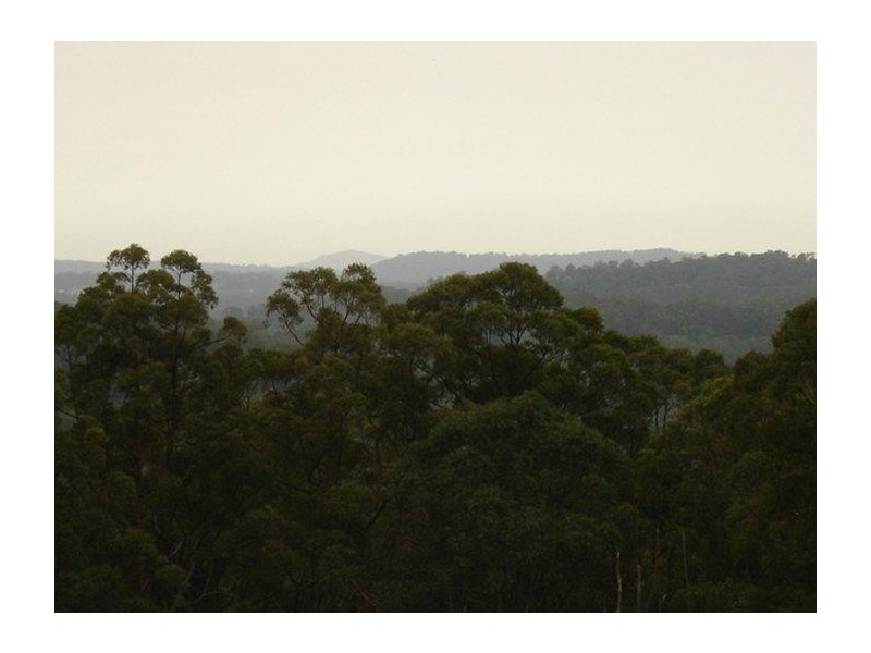 Eudlo QLD 4554