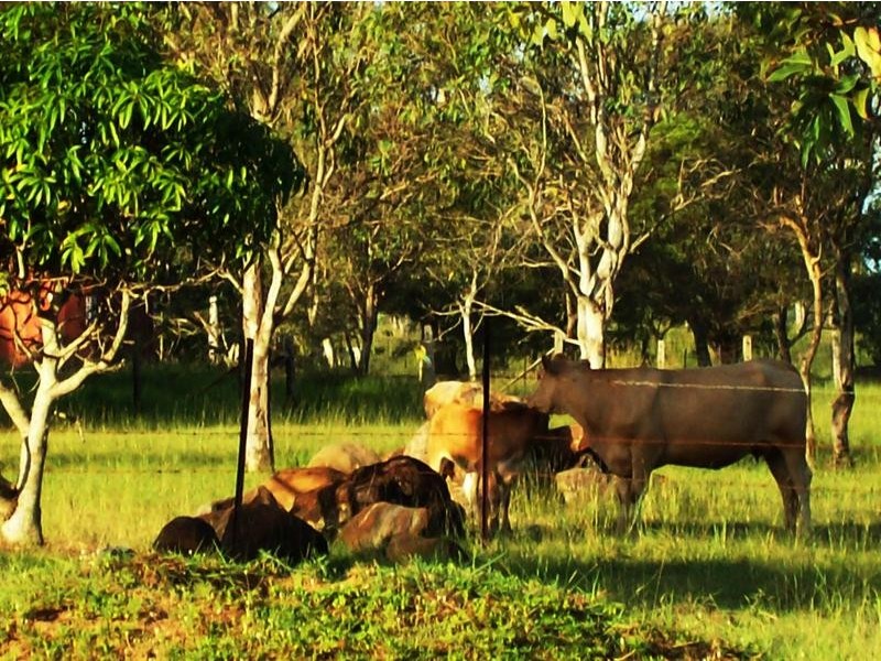 722 Hummock Road, Woongarra QLD 4670