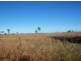 946 Hummock Road, Calavos QLD 4670