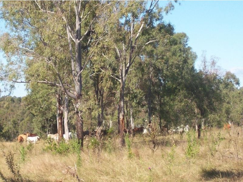 13 Old Gayndah Road, Wallaville QLD 4671