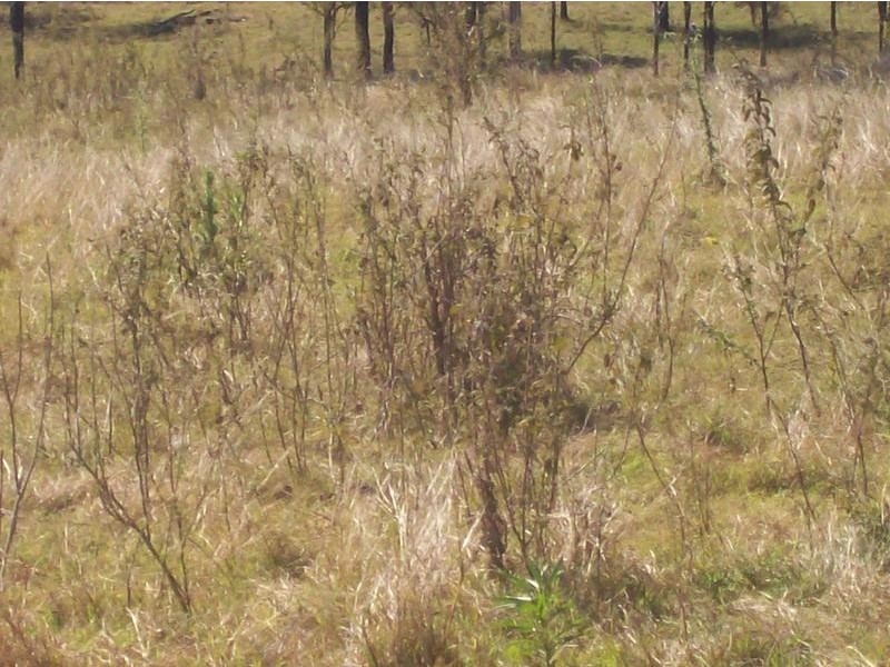 13 Old Gayndah Road, Wallaville QLD 4671