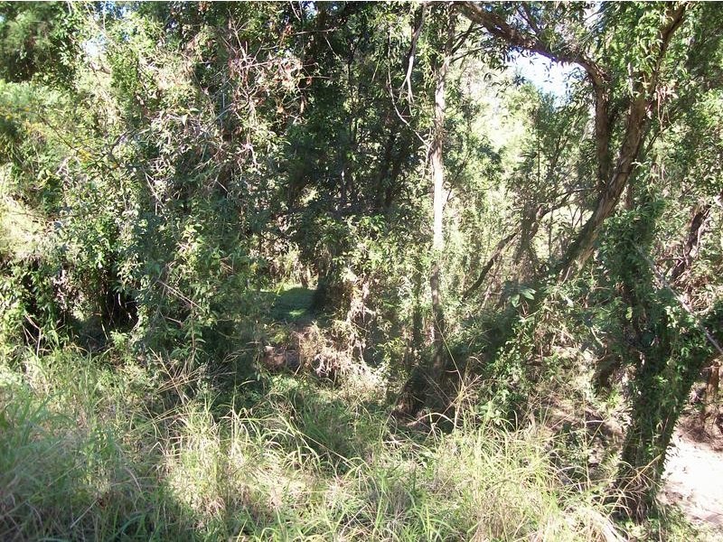 12 Old Gayndah Road, Wallaville QLD 4671