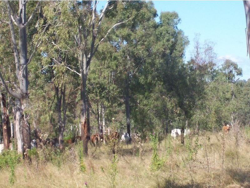 12 Old Gayndah Road, Wallaville QLD 4671