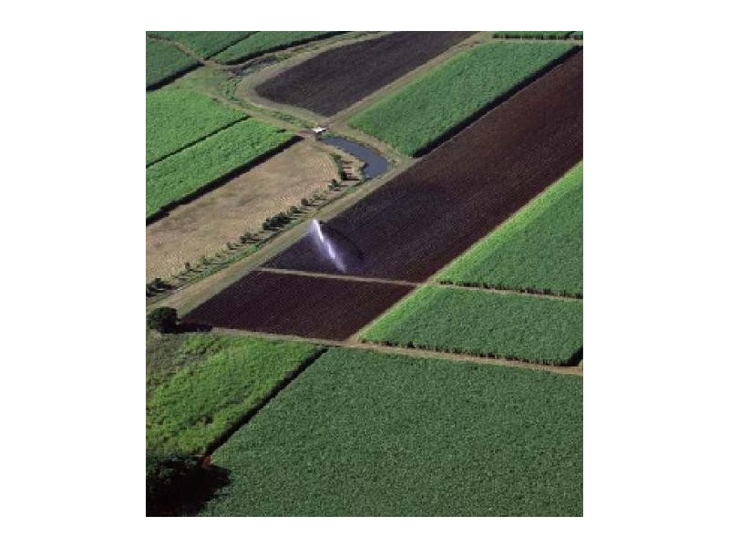 64 Barolin Street, Bundaberg South QLD 4670