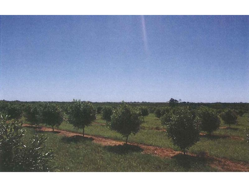 92 Kenzlers Road, Sharon QLD 4670